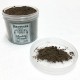 Dirtworks Dirt Powder - Muddy Waters