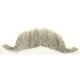 Real Hair Colonel Major Moustache