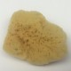 Natural Sea Sponge Makeup Applicator
