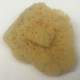Natural Sea Sponge Makeup Applicator