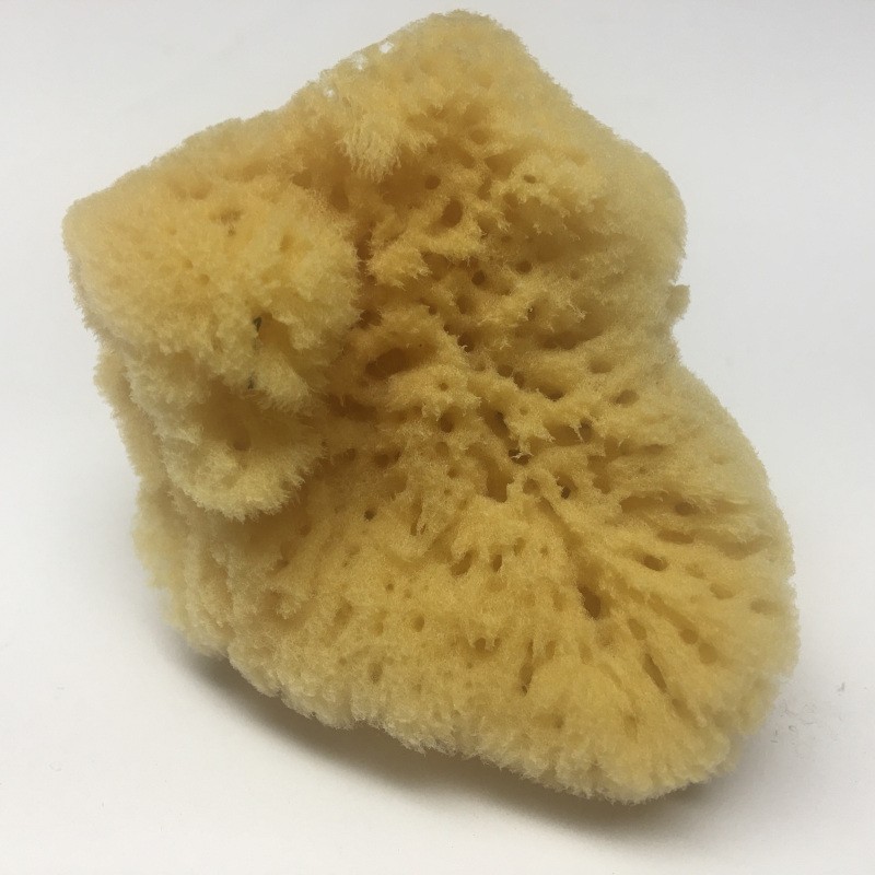 Natural Sea Sponge Makeup Applicator