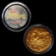 Skin Illustrator Single - Gold Bullion