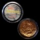 Skin Illustrator Single - Talos Bronze