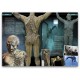 Prosthetics Magazine - Issue 17 - Sample Pages