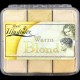 SI On Set Palette - Warm Blond