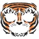 Tiger Face Temporary Tattoo