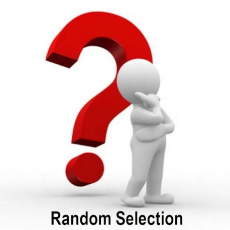 Homies Zombies - Random Selection